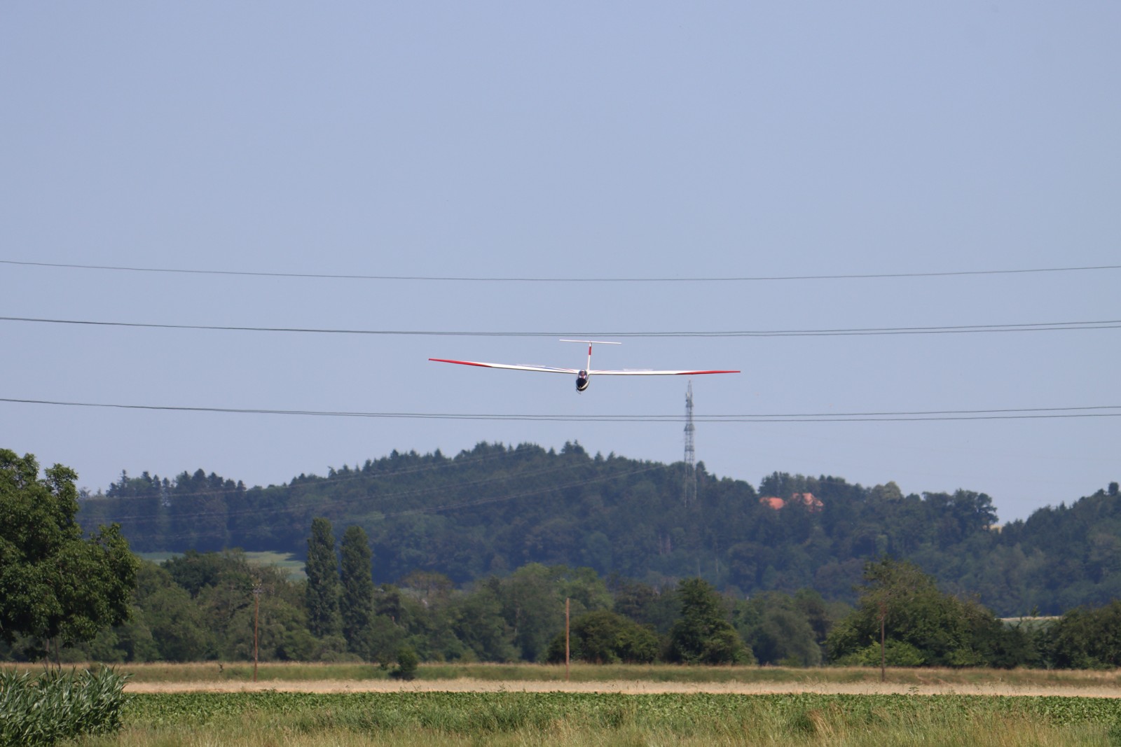 IMG 4741