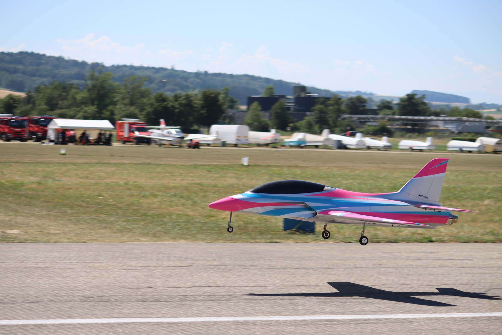 IMG 4977