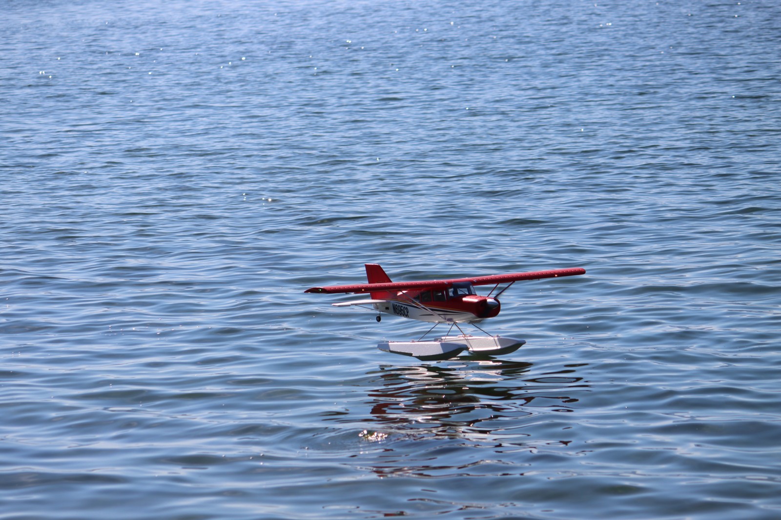 IMG 6154